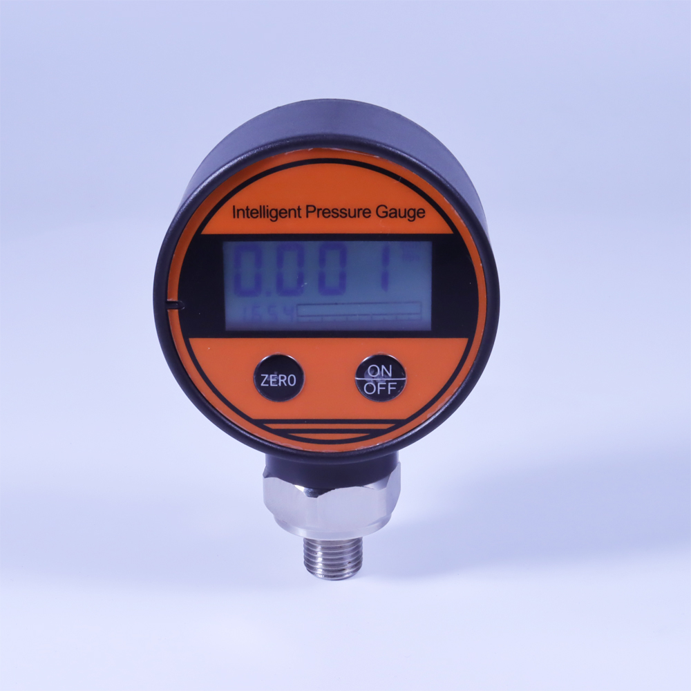 電池供電數(shù)顯壓力表 PT500-108